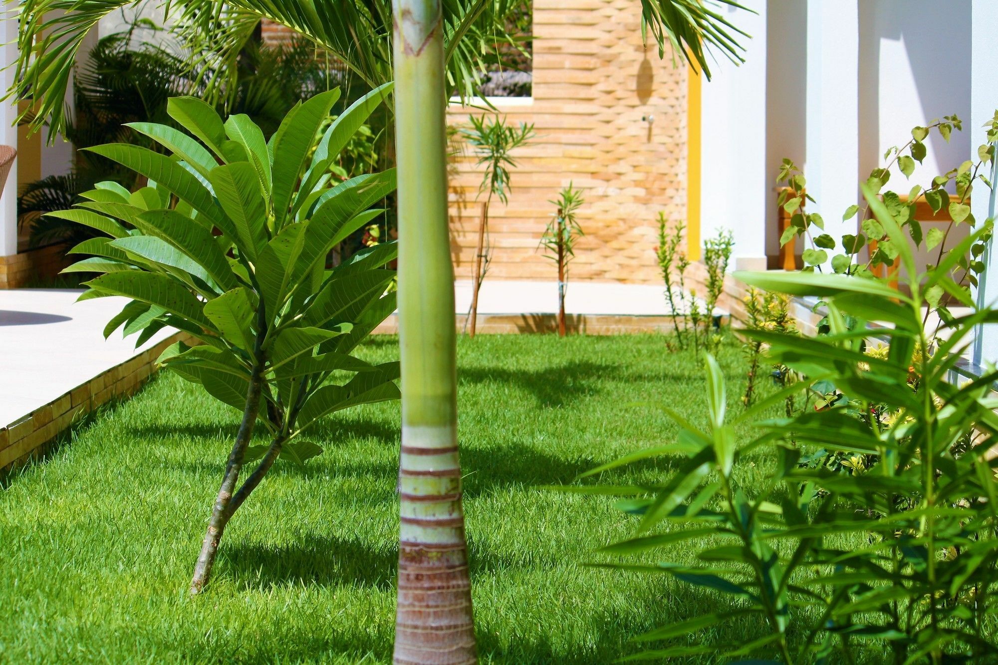 Hotel Villa Beija Flor Jijoca de Jericoacoara Buitenkant foto